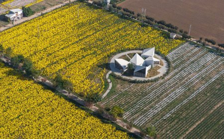 نگاهی به پروژه The Library in Ice-Chrysanthemum Field