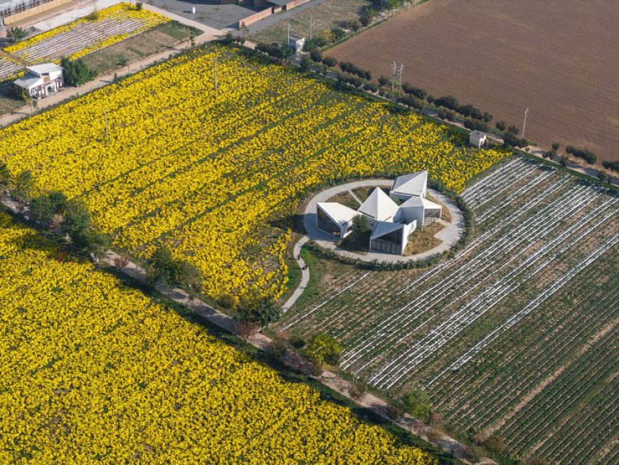 نگاهی به پروژه The Library in Ice-Chrysanthemum Field