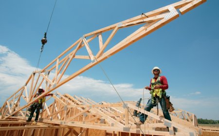 8 تا از بهترین سقف‌های ساختمانی