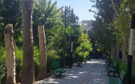 قطع بیش از ۱۰ درخت کهنسال در این پارک‌ تهران