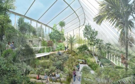 مزارع چندمنظوره شهری؛ راهکاری نوین برای پایداری