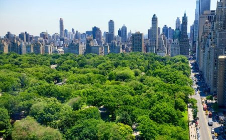 سبزترین شهرهای جهان در سال ۲۰۲۴