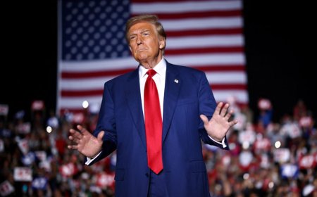 با اعلام رسمی رسانه‌های آمریکایی، دونالد ترامپ چهل‌وهفتمین رئیس جمهور آمریکا شد