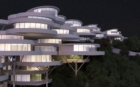 طرح متفاوت یک سکونتگاه «درختی» در جنگل‌های رامسر