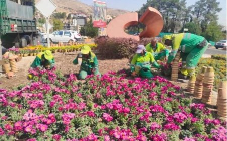 آماده‌سازی بستر کاشت و کاشت گل‌های فصلی پاییزی در منطقه یک شیراز