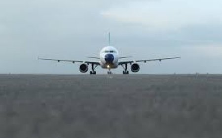 اولین سفیر فلسطین ، استوارنامه خود را تقدیم پادشاه بلژیک کرد