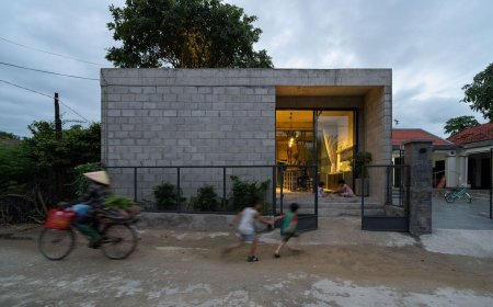 معماری جالب خانه ای که حول یک درخت شکل گرفته است؛ درخت سم ماهی!