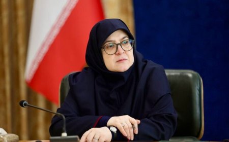 مهاجرانی: ایران از اکسپوی ژاپن انصراف داد