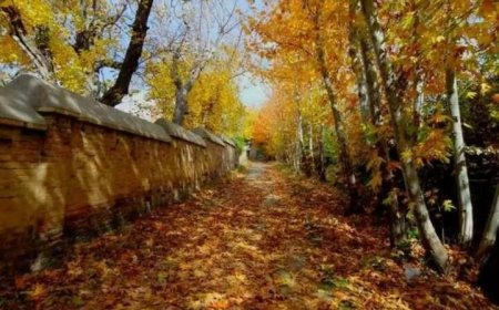 بناهای غیرمجازی که از پهنه باغات قصر دشت شیراز سر در میآورند