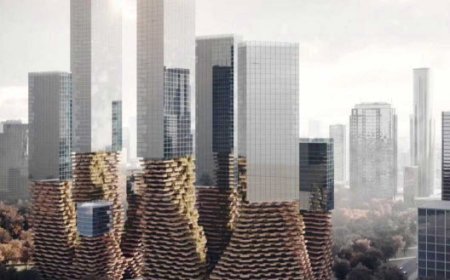 فرشاد مهدی زاده، کسب مقام اول در مسابقه محدود بین المللی