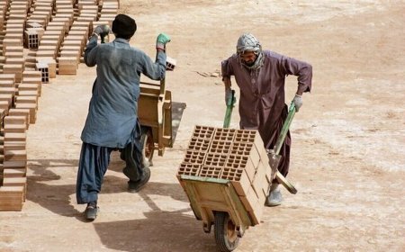 ممنوعیت بکارگیری اتباع غیرمجاز توسط شهرداریها