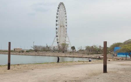 آزاد سازی ساحل بوشهر در محدوده پارک شغاب به کجا رسید؟