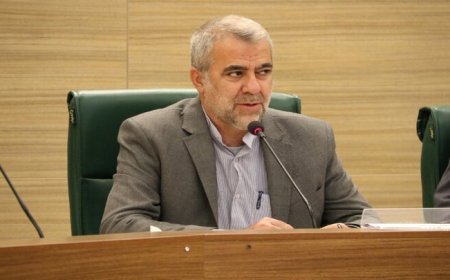 شهرداری شیراز در مقابله با زمینخواری و کوهخواری نقش مثبتی ایفا کرده است