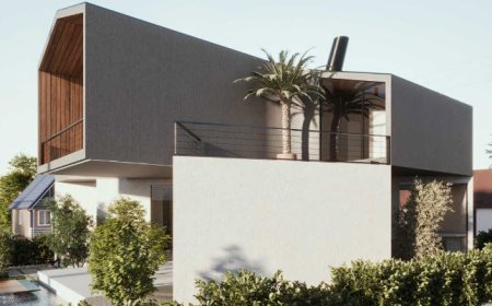 کانسپت ویلای آوانگارد