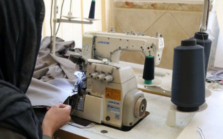 ۴۵ درصد اعتبارات اشتغال کمیته امداد قشم پرداخت شد