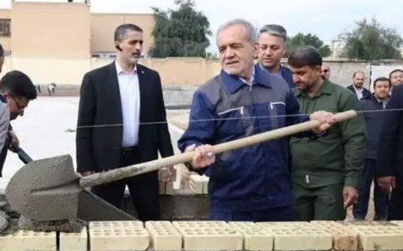 بیل زدن جنایت نیست!