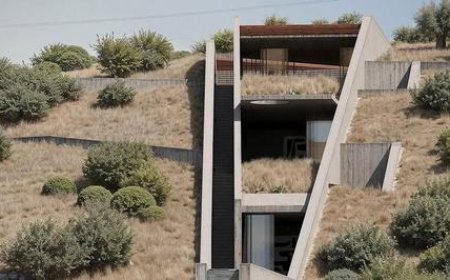 این خانه تمام تصورات بیننده درباره زیبایی را تغییر می دهد