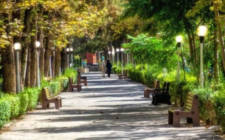 اجاره ۶۰ میلیون تومانی پیادهروها در اطراف پارک لاله