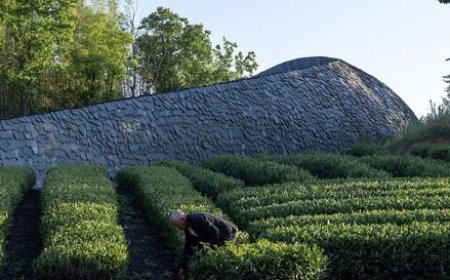 5 شاهکار معماری چین در سال 2024