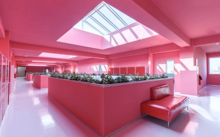 هویت‌بخشی رنگ صورتی به محیط و معماری