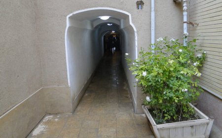 از مسجدصدرالعراقین تا خانه همایی