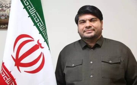 سرپرست اداره کل سرمایه انسانی شهرداری شیراز منصوب شد