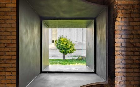 پروژه گالری بیدیوار