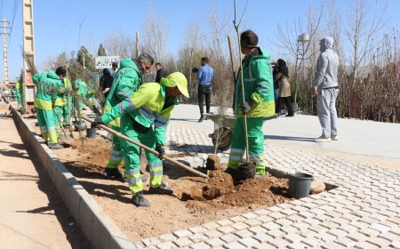 افزایش ۶۰۶۰۰ مترمربع مساحت فضای سبز منطقه ۱۰ با اجرای طرح نهضت درختکاری