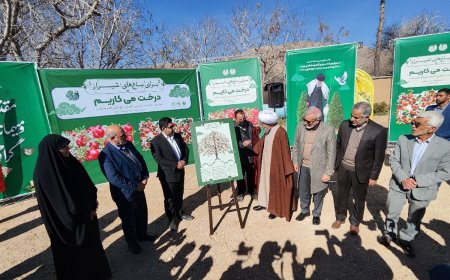 از ارزشمندی اقدامات ایجابی برای حفظ باغ‌های قصردشت تا کاشت ۵ میلیون بذر در شیراز