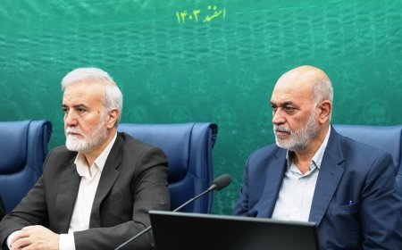 لزوم تشکیل کارگروه مشترک در راستای بررسی ریشه‌ای مشکلات و ارائه راهکارهای پایدار