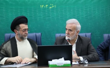 تعامل ارزنده دو نهاد شهرداری و دستگاه قضایی منجر به اتفاقات خوب در شیراز شده است