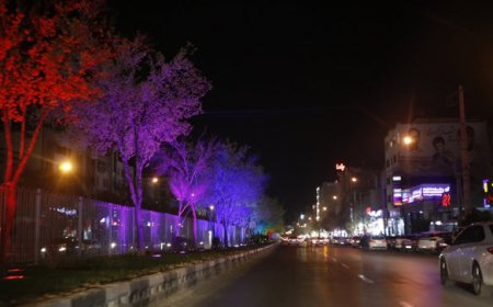 شکوه شیراز با پروژههای نورپردازی تکمیل میشود/ افتتاح سه پروژه فاخر نورپردازی در نخستین روزهای کاری ۱۴۰۴