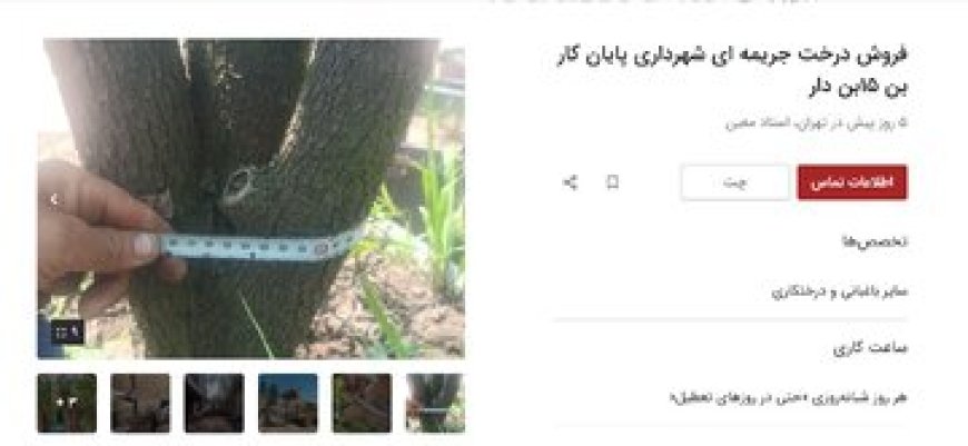 راه جدید برای پایان کار ساخت‌وسازها