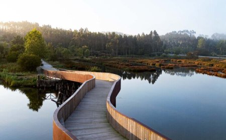 پل موزه‌ای آویرو؛ تلفیق معماری و حفاظت از میراث تاریخی