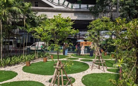 فضاهای سبز کوچک؛ راهکاری ساده برای شهرهای پایدارتر