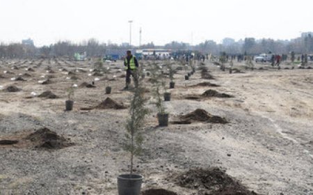 پروژه کمربند سبز اهواز پس از ۱۲ سال بلاتکلیفی نیازمند بازنگری فوری