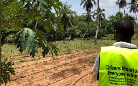 هر شهروند، یک ناظر؛ راهکاری نوین برای مشارکت مردم در شهر