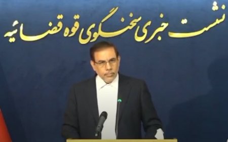 سخنگوی قوه قضائیه: ۳ تیر اولین جلسه دادگاه مدیران شهرداری پاکدشت برگزار می‌شود