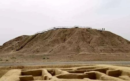 صالحی امیری: تخریب منطقه «کُنارصندل» کذب است