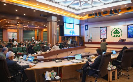 ثبت بزرگترین پیاده‌روی خانوادگی کشور به نام شیراز؛ روایت یک همبستگی شهری