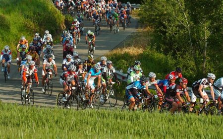 مهار چاقی با طراحی شهرهای هوشمند به پیاده‌روی