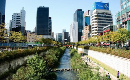 ارتقای سلامت روان جوانان با طراحی شهری هوشمندانه