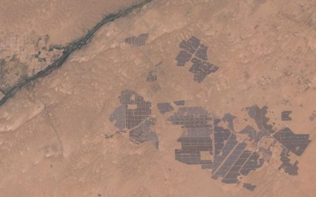 هند میزبان بزرگ‌ترین پارک خورشیدی جهان