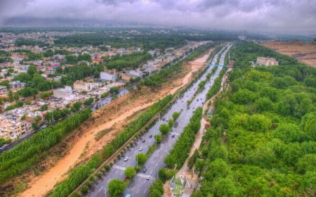 خیز بلند شیراز برای حفظ باغات