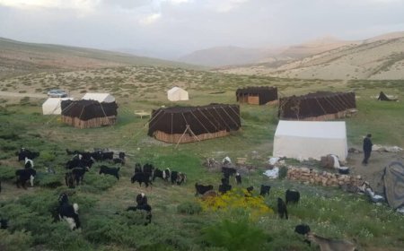 ارتقای خدمات به عشایر فارس با اعتبارات ویژه و پروژههای عمرانی