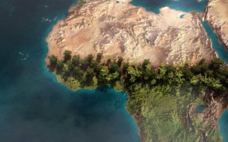 دیوار سبز بزرگ آفریقا امیدی برای نجات زمین