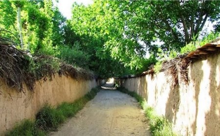 شهرداری ویژهی باغات قصردشت شیراز تشکیل میشود