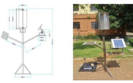 تولید برق پاک برای شهرهای هوشمند با درخت انرژی