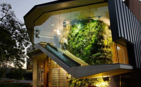 10 ایده خلاقانه برای طراحی باغهای عمودی