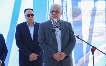 موزه شهر، پل زندگی و باغ‌موزه هنر؛ گامی بلند برای نشاط اجتماعی در شیراز